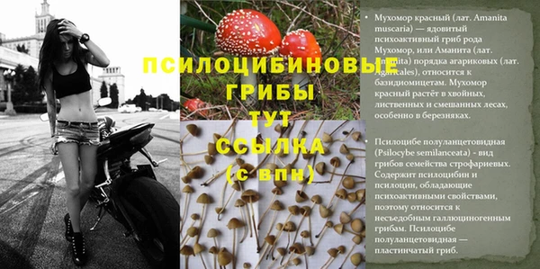 герыч Алексеевка