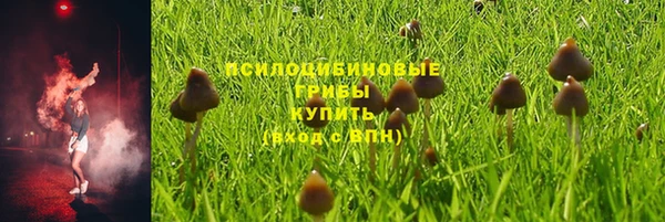 СК Алексин