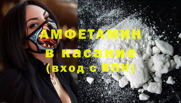СК Алексин
